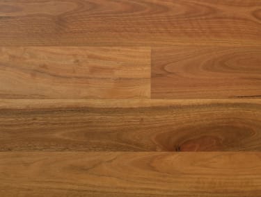 Australian Spotted Gum 180